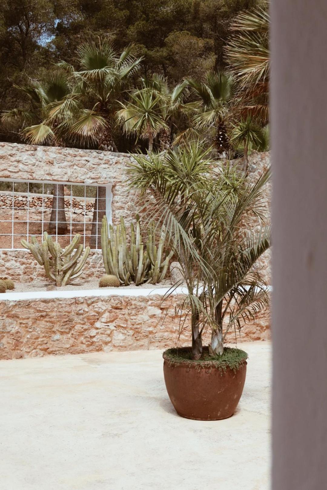 Hotel Pure House Ibiza Sant Jordi de ses Salines Exterior foto
